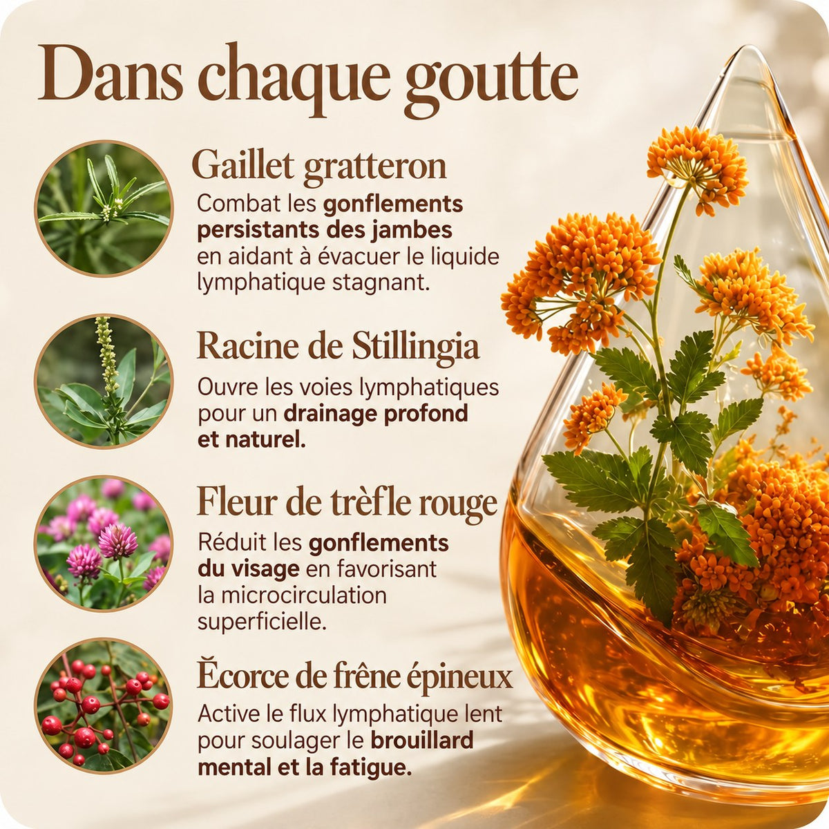 Drainage lymphatique Manavaé™ — Gouttes naturelles