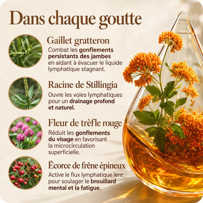Drainage lymphatique Manavaé™ — Gouttes naturelles